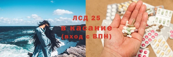 ГАЛЛЮЦИНОГЕННЫЕ ГРИБЫ Аркадак