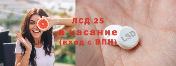 ГАЛЛЮЦИНОГЕННЫЕ ГРИБЫ Аркадак