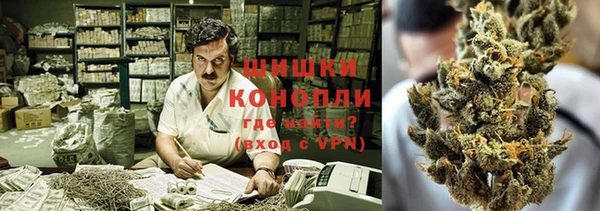 ГАЛЛЮЦИНОГЕННЫЕ ГРИБЫ Аркадак