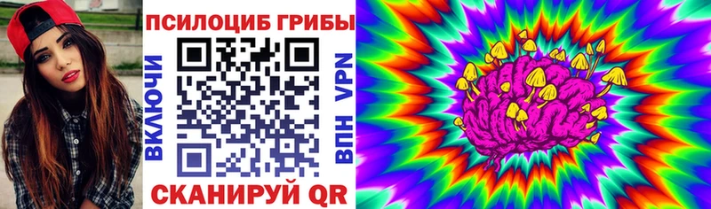 где купить наркотик  Строитель  Псилоцибиновые грибы мухоморы 